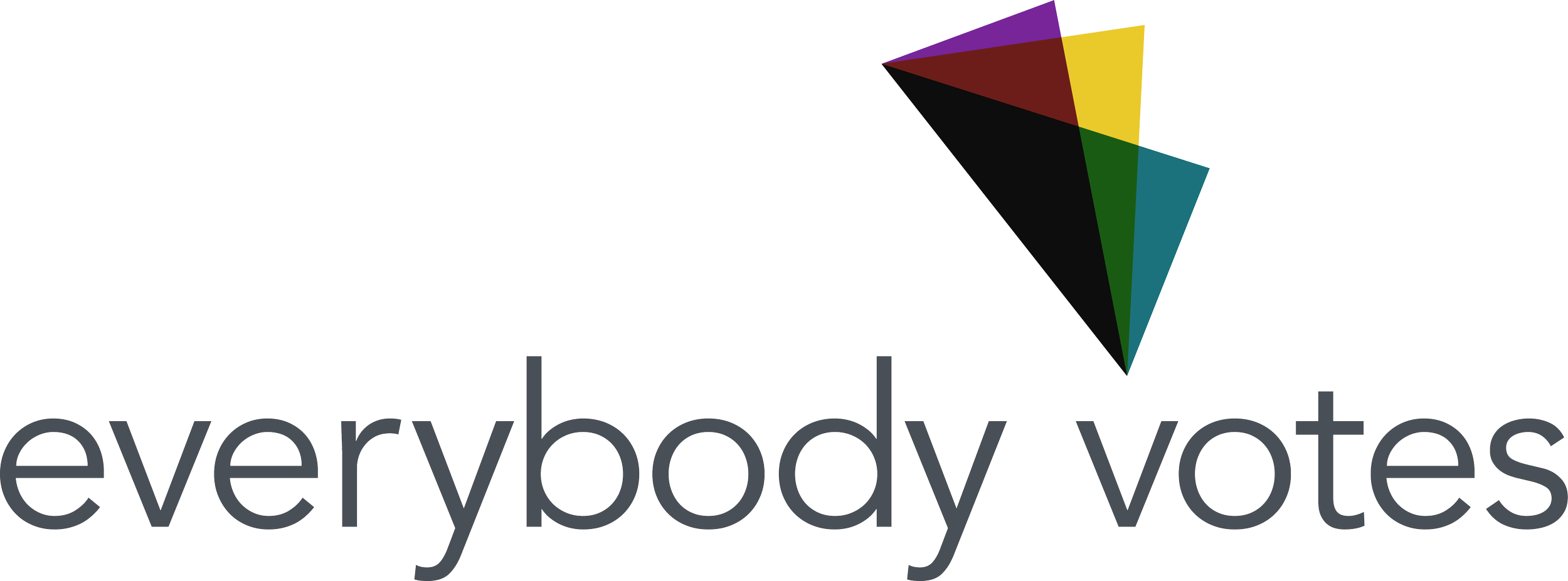 Everybody Votes Campaign